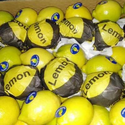 2e6eae86 2d2b 45d5 819d 1c825f311dc4