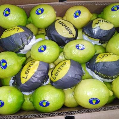 2eb1366a A32c 4a5e A3ba Be6554f1b1f1