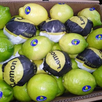 3e65c1d0 B419 411e A8e3 3ee6c41443dd