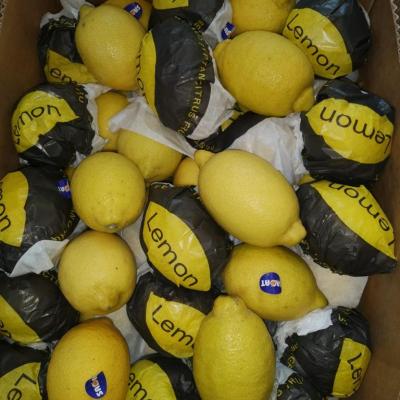 7d7cd9d5 3e9e 455c 956e 7009f1e8ee0f