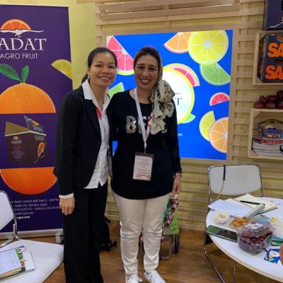 091a4fa7 A2ee 4a5d Afdb 11ad78318214